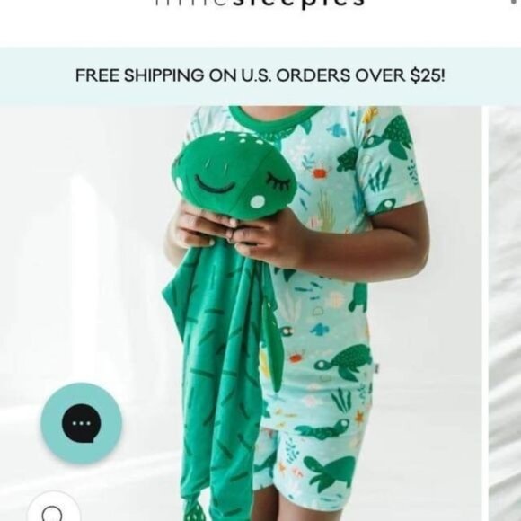 Little Sleepies Turtle Lovey - Picture 1 of 2